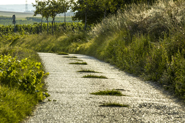 Obraz premium Narrow lane, Austria, Lower Austria, Weinviertel, Roeschitz