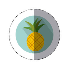 pineapple fruit icon image, vector illustration design