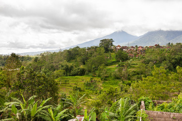 View on agricultural fields near Batur volcano, Kintamani. Winter rainy and cloudy season. Bali, Indonesia.