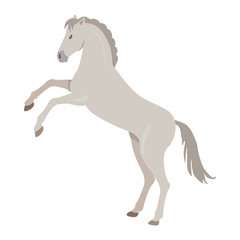 Obraz na płótnie Canvas Rearing Grey Horse Illustration in Flat Design