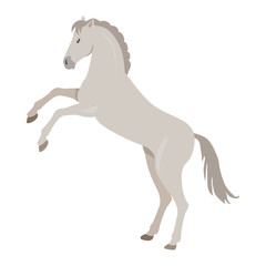 Rearing Grey Horse Illustration in Flat Design