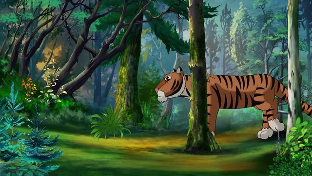Cartoon Ussurian (Siberian) Tiger Walks Through the Taiga in a Summer Day. Handmade animation,  motion graphic.