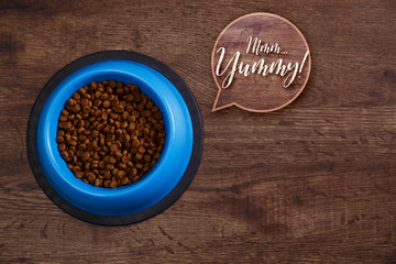 Bowl of dry kibble dog food. Mmm yummy speech bubble. Healthy pets feed. Blue plate on wooden rustic background.