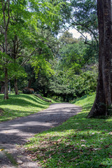 Royal Botanical Gardens, Kandy, Peradeniya, Sri Lanka, one of the best maintained botanical gardens in the world