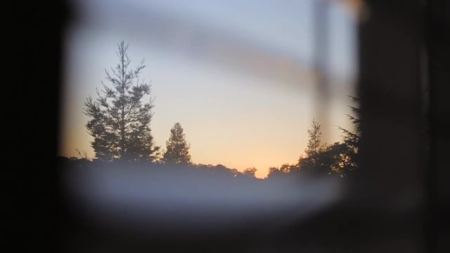 Jalousies are opened and closed. Beautiful nature behind a window.