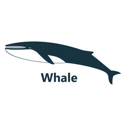 Whale silhouette on the white background blue text