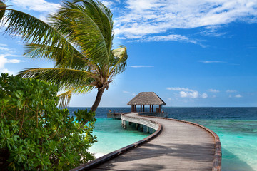 Exotic Maldives resort