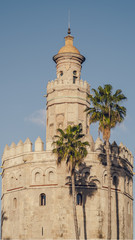 Fototapeta na wymiar Torre del Oro or Tower of Gold, Seville, Spain
