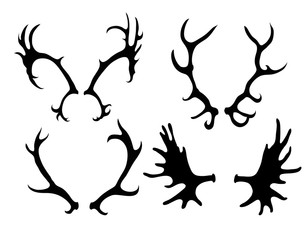 Set of silhouettes of deer and elk horns. Vector element for your creativity