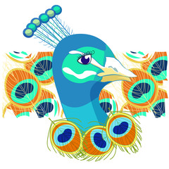  Bird with peacock of feather  illustration