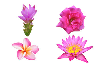 flowers white background with clipping path.