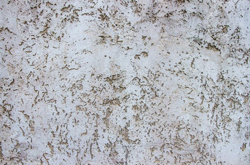 Cement wall background image