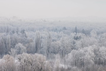 Morning hoarfrost in the National Complex “Expocenter of Ukraine”, Kyiv, Ukraine