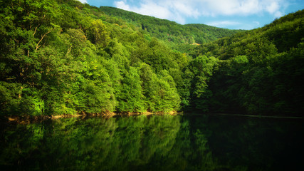 reflection of the lake