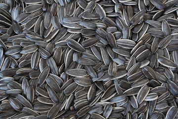 Sunflower seeds background 