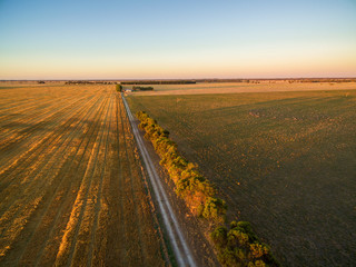 Fototapeta na wymiar Agricultural fields at sunset aerial view - green and yellow fields