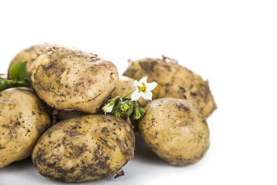 Raw potatoes  isolated on white background