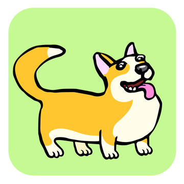 Corgi Dog Isolated Vector Illustration. Funny Cartoon Fur. Contour Freehand Digital Drawing Cute Character. Cheerful Pet for Web Icons and Shirt.