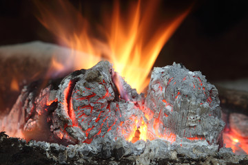 fire with burning wood in the fireplace