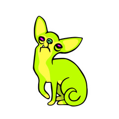 Funny Chihuahua Dog Isolated Vector Illustration. Cute Cartoon Fur Character. 