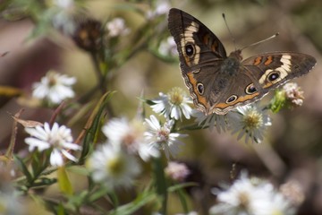 Good reception from this direction