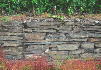 gemauerte Weinterrassen im Ahrtal,Rheinland-Pfalz,Deutschland