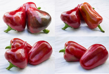 Painted pepper on a white background.