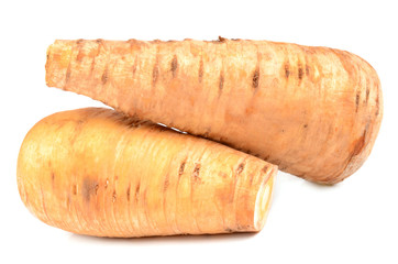 parsley root