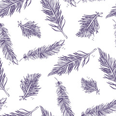 Seamless Pattern with Feathers blue on a white background. Vinta