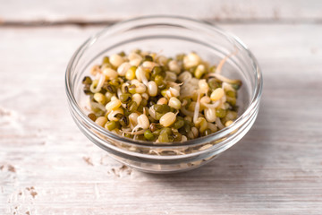 Germinated beans in glass bowl on wooden boards