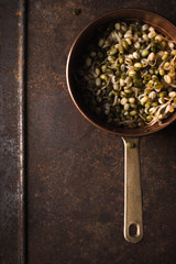 Sprouting mung beans in a colander on a table