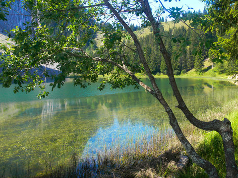 lac benit,mont saxonnex,haute savoie,france
