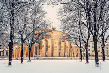 Trees of Berlin Tiergarten and illuminated Brandenburg gate (Brandenburger Tor) in snow, Berlin,...