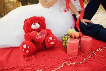 Red teddy bear on the picnic with the newlyweds