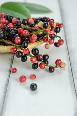 Thai Blueberry fruits