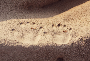 Wedding rings in the sandy footprints