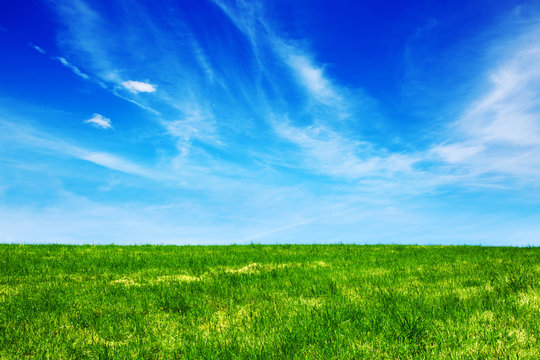 Green fild against the blue sky