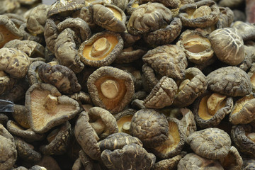 Dried Shiitake Mushroom