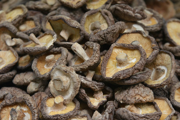 Dried Shiitake Mushroom