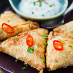 Indian Spicy Vegetable samosa with Mint Yoghurt Raita.