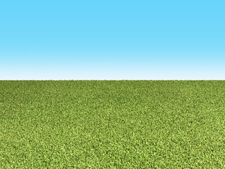 green grass background on blue background 3d illustradtion