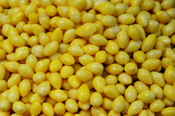 Ginkgo Biloba Seed