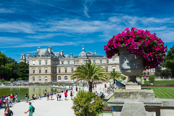 Fototapeta na wymiar The Luxembourg Garden and the Luxembourg Palace