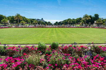 The Luxembourg Garden
