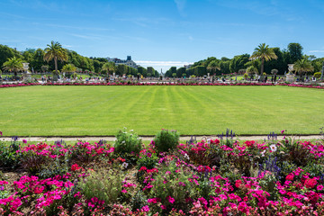 Obraz premium The Luxembourg Garden