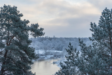 Fototapeta na wymiar beautiful winter landscape trees in hoarfrost a winter day