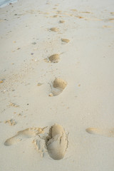 Human footprints in the sand beach