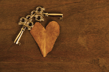 Two Keys With Heart Shape Leaf 