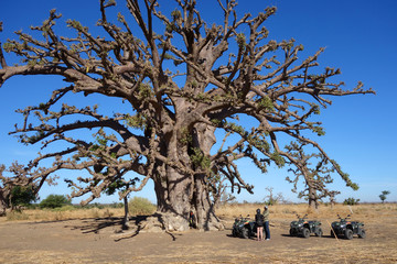 Arrêt devant un baobab sacré dans la savane africaine © Cyril PAPOT