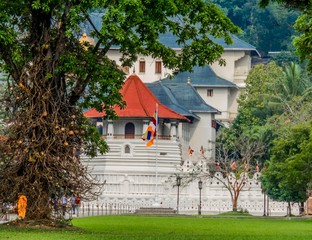 View of Sacred Temple of the Tooth Relic of Lord Buddha through trees in the front lawn in Kandy, Sri Lanka, Asia